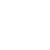 Überwachungskamera Icon